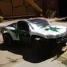 palsot