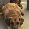 DG!