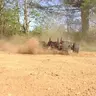 Roanoke RC group
