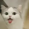 mrzen215