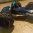 Amp Buggy 40